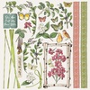Naturalist 12x12 Collection Pack - 49 And Market