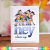 Cheer Up Sentiments Stamp Set - Waffle Flower Crafts