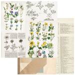 Pressed Petals Paper - Curators Botanical - 49 And Market