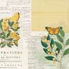 Natural History Paper - Curators Botanical - 49 And Market