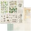 Anthology Paper - Curators Botanical - 49 And Market