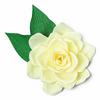 Gardenia Thinlits Dies - Sizzix