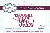 Mini Sentiments Thought Of You Today - Creative Expressions Craft Dies By Sue Wilson