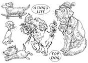 Pets - A Dog's Life - The Card Hut Clear Stamps 4"X6" By Mark Bardsley