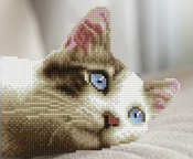 Daydream Kitty - Diamond Dotz Simply Dotz Diamond Art Kit 9.8"X8"