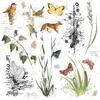 Curators Meadow 12x12 Rub-on Transfer Sheet - 49 And Market