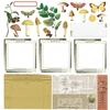 Curators Meadow 12x12 Collection Pack - 49 And Market