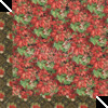 Yuletide Floral Paper - Warm Wishes - Graphic 45