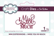Mini Expressions- I Miss You So Much - Creative Expressions Craft Dies By Sue Wilson