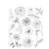 Floral Elements Cling Stamp - Tim Holtz