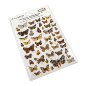 Essential Butterflies Rub-On Transfers - 49 and Market