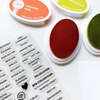 Spa Colors Stamp Set - Catherine Pooler