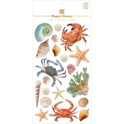Sea Shells and Such 3D Scrapbook Stickers - Paper House Productions