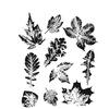 Leaf Prints 2 Rubber Stamp by Tim Holtz - Stampers Anonymous