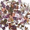 ARToptions Plum Grove Laser Cut Wildflowers -  49 And Market