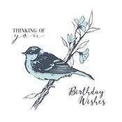 Summer Bird Layered Clear Stamps - Sizzix