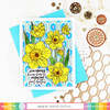 Narcissus - December Birth Flower Stamp Set - Waffle Flower Crafts