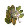 Elegant Greenery - Magnolia Rouge - Prima