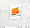 Paint-A-Flower: Waterlily Dahlia Outline Stamp Set - Altenew