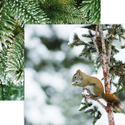 Red Squirrel Paper - Winter Canvas - Reminisce