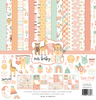 Our Baby Girl Collection Kit - Echo Park