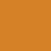 Rust Orange Printed Cardstock - Carta Bella - PRE ORDER