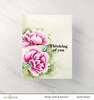 Paint-A-Flower: Modern Pink Dianthus Outline Stamp Set - Altenew