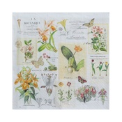 Botanical Delight - Little Birdie Decoupage Napkin 12"X12"