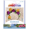 Hawaiian Paper Flower Crown - Craft Around The World - American Crafts