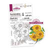 Paint-A-Flower: French Marigold Outline Stamp Set - Altenew