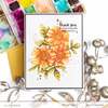 Paint-A-Flower: French Marigold Outline Stamp Set - Altenew