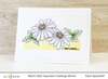 Mini White Splendour Anemone Stamp Set - Altenew