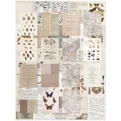 Color Swatch Toast Collage Sheets - 49 and Market