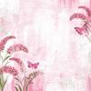 Pink Skies Paper - Spectrum Gardenia - 49 And Market