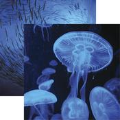 Jellyfish Paper - Blue Mood - Reminisce