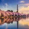 Washington Monument Paper - Washington DC - Reminisce