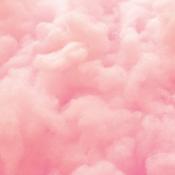 Pretty In Pink 6 Paper - Reminisce