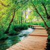 Nature Trek Paper - Pathways - Reminisce