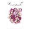 Endearing Notes Flowers - Avec Amour - Prima