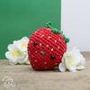 Strawberry Bag Hanger Crochet Kit - Hardicraft