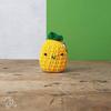 Pineapple Bag Hanger Crochet Kit - Hardicraft