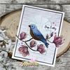 Birds & Magnolias Clear Stamps - Gina K Designs