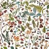 Vintage Artistry Nature Study Mushrooms & Foliage Cut Outs - 49 and Market