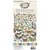 Vintage Artistry Nature Study Wings Cut Outs - 49 and Market - PRE ORDER