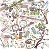 Vintage Artistry Nature Study Elements Cut Outs - 49 and Market