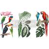 Tropical Birds - Prima Marketing Re-Design Decor Transfers 6"X12" 3/Sheets
