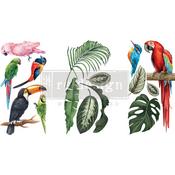 Tropical Birds - Prima Marketing Re-Design Decor Transfers 6"X12" 3/Sheets