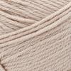 Skein Tones Birch - Lion Brand Basic Stitch Anti-Pilling Yarn