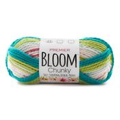 Cactus Bloom - Premier Yarns Bloom Chunky Yarn
