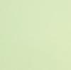 Bright Green - Core'dinations Core Foundations Cardstock 12"X12"